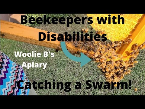 Beekeepers with Disabilities Catching a Swarm!