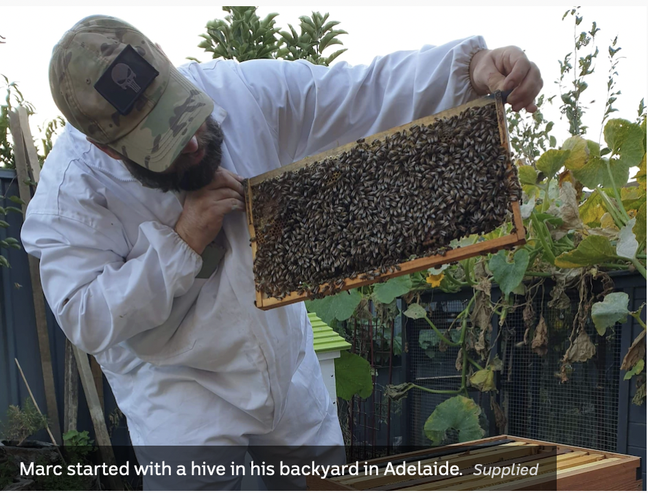 Marc Webb beekeeper